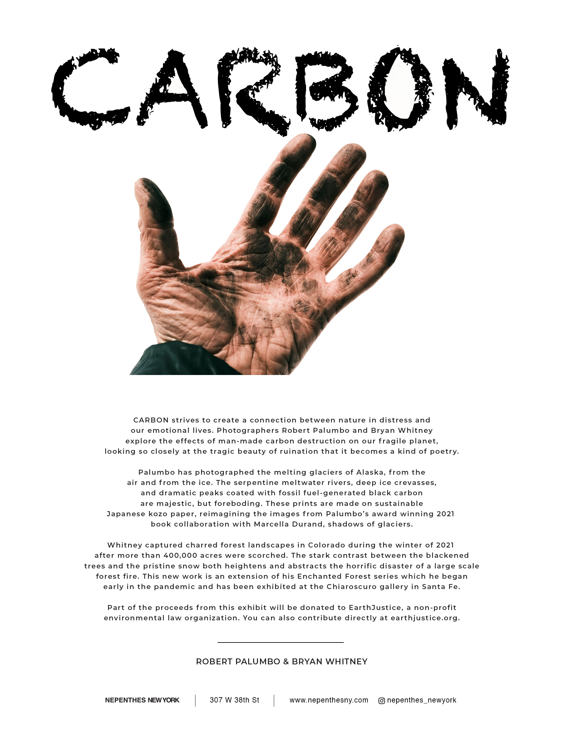CARBONcardlayout.JPG